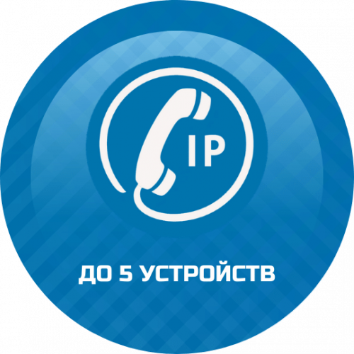 Подключение IP телефонии до 5 устройств