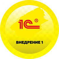 Внедрение 1